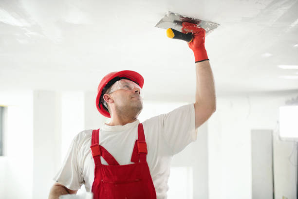 Best Emergency Mold Remediation  in Seattle, WA